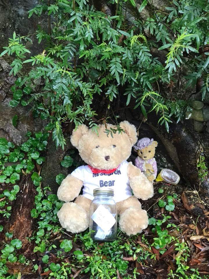 Research bear. Photo: Toni Eagar/ANU